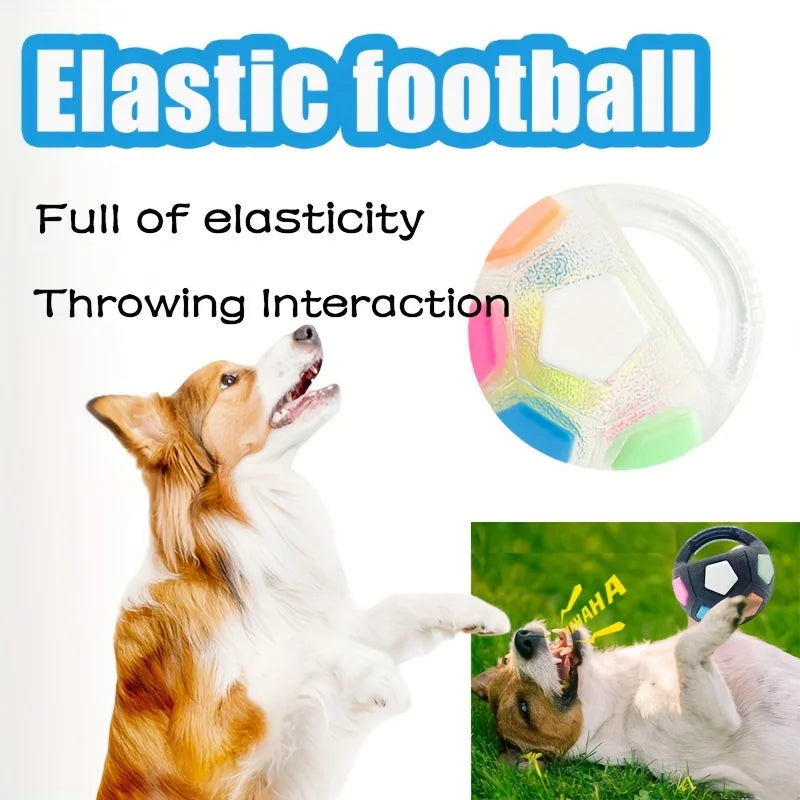 Football Tennis Dog Toy