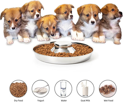 2 Pack Stainless Steel Puppy Bowls, Puppy Feeder for Multiple Pets, Dog Food and Water Bowl, Food Feeding Weaning for Small Medium Large Dogs, Pets