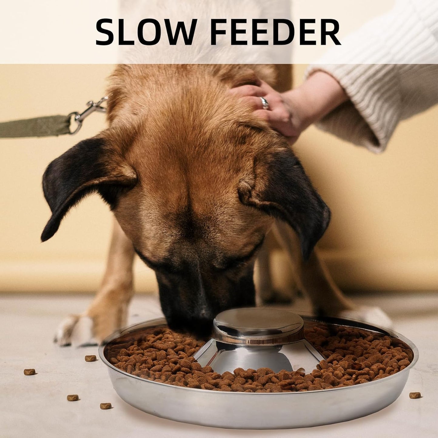 2 Pack Stainless Steel Puppy Bowls, Puppy Feeder for Multiple Pets, Dog Food and Water Bowl, Food Feeding Weaning for Small Medium Large Dogs, Pets